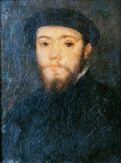 Portrait of a Man by Corneille de Lyon